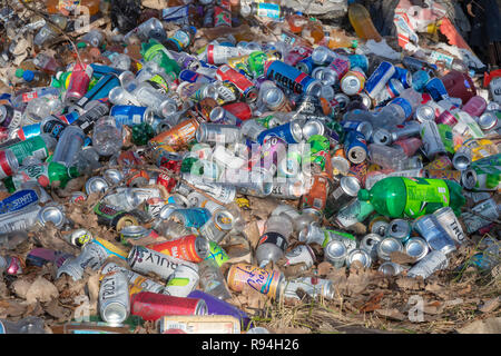 Detroit, Michigan - viele Hunderte von Flaschen und Dosen, die sich illegal in einem bewaldeten Gebiet in der Nähe der Innenstadt. Stockfoto