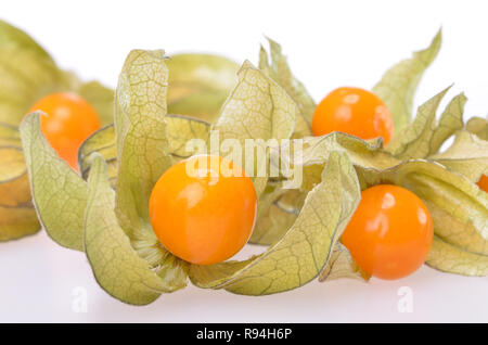 Frisch und reif Kap Stachelbeeren/Physalis rubro Stockfoto