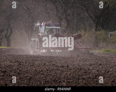 Landwirt pflegen seine Hektar mit seinem Traktor gezogene Egge in der Nähe von Barum, Elbmarsch, Deutschland. Stockfoto