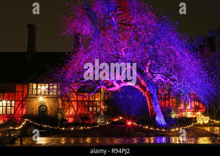 Glow 2018, im Labor. RHS Garden Wisley, Woking, Surrey, England, UK, Europa. Stockfoto