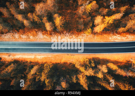 Luftaufnahme von der Straße im schönen Wald bei Sonnenuntergang in den Dolomiten. Blick von oben auf die perfekte Asphalt Fahrbahn, orange Bäume im Herbst. Landschaft mit Highway Stockfoto