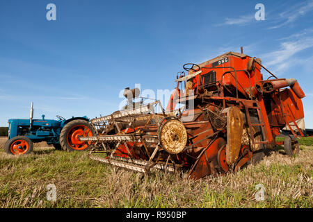 Ein vintage Super Major 1961 Traktor mit einem Super 500 gezogenen Mähdrescher und einen Allis Chalmers 1963 Gleaner Mähdrescher Stockfoto