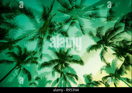 Tropical Sunset Mehrfachbelichtung der Palmen in Silhouette gegen hell grün und gelb Himmel Hintergrund Stockfoto
