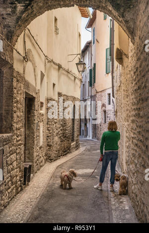 Frau, die ihre Hunde, Handy, an der Via della Trattoria, Passage im historischen Zentrum von Spoleto, Umbrien, Italien Stockfoto