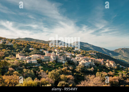 Das alte Bergdorf Cateri beleuchtet durch die Abendsonne in der Balagne Korsika Stockfoto