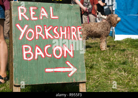 Yorkshire Speck mit Hund im Hintergrund Stockfoto