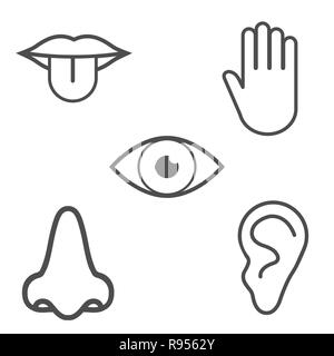 Die menschlichen Sinne Symbol. Vector Illustration flach Stock Vektor