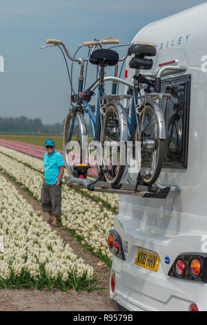 Tourist steht in einem Feld von Hyazinthen im Frühjahr während eines Urlaubs in Holland in einem Wohnmobil mit Fahrräder am Heck getragen Stockfoto