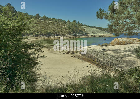 Sualaxe Strand im Wald auf der Insel Arousa, Pontevedra, Galizien, Spanien, Europa Stockfoto