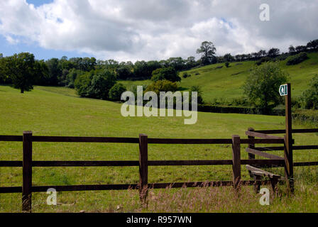 Holzzaun mit Stil Wegweiser, öffentlichen Fußweg über auf dem Feld Stockfoto