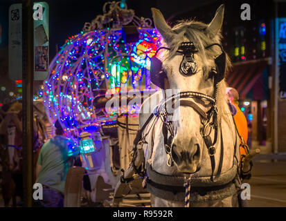 Eine Kutsche Pferd ruht, während für den nächsten Kunden auf der Beale Street, Sept. 5, 2015, in Memphis, Tennessee. Stockfoto