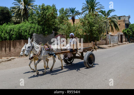 Eselskarren Gefahren am Rande der Innenstadt von Luxor Ägypten, Stockfoto