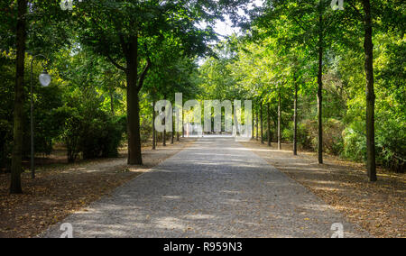 Tiergarten Park mit üppiger Flora in Berlin. Herbst mit fallenden Blätter und grüne Bäume Hintergrund. Natur in Deutschland. Stockfoto