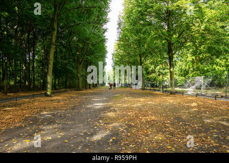 Gesunder Lebensstil Konzept. Tiergarten Park mit üppiger Flora, fallende Blätter und nur wenige Menschen. Herbst Natur in Berlin Hintergrund. Stockfoto