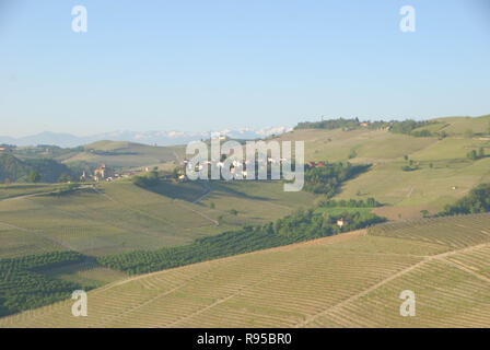Die Hügel der Langhe, Piemont rund um das Dorf Barolo - Italien Stockfoto