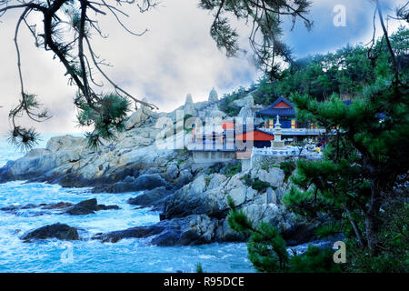 Haedong Yonggungsa Tempel in Busan, Südkorea. Stockfoto