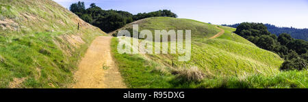 Wanderweg durch grüne grüne Hügel in Santa Cruz Mountains, San Francisco Bay Area, Kalifornien Stockfoto