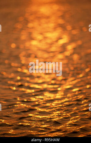 Golden Sea Sonne auf dem Wasser Stockfoto