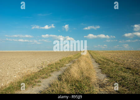 Unbefestigte Straße durch einen gepflügten Feldern, Horizont und weißen Wolken am blauen Himmel Stockfoto