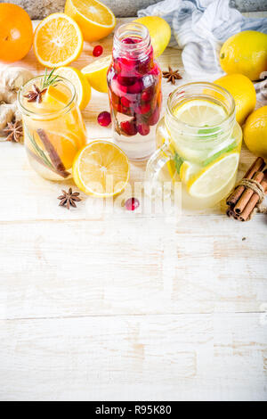 Satz von verschiedenen Herbst und Winter erfrischende Wasser hineingegossen, süß sauer gesunde Getränke mit Orangen, Honig, Cranberry, Minze, Rosmarin, Zimt und Spi Stockfoto