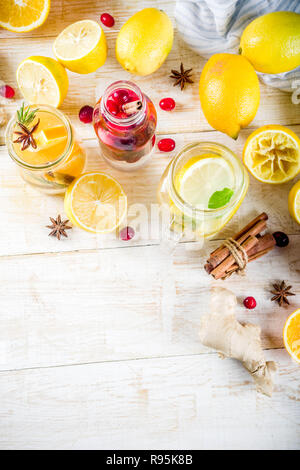 Satz von verschiedenen Herbst und Winter erfrischende Wasser hineingegossen, süß sauer gesunde Getränke mit Orangen, Honig, Cranberry, Minze, Rosmarin, Zimt und Spi Stockfoto