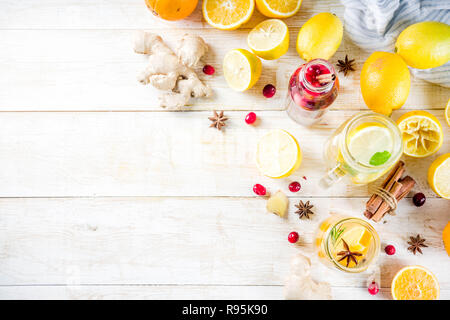 Satz von verschiedenen Herbst und Winter erfrischende Wasser hineingegossen, süß sauer gesunde Getränke mit Orangen, Honig, Cranberry, Minze, Rosmarin, Zimt und Spi Stockfoto