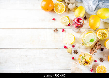 Satz von verschiedenen Herbst und Winter erfrischende Wasser hineingegossen, süß sauer gesunde Getränke mit Orangen, Honig, Cranberry, Minze, Rosmarin, Zimt und Spi Stockfoto
