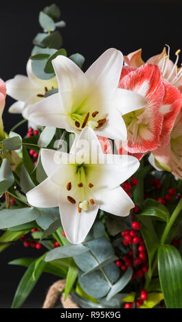 Blumenstrauß mit weißer Lilie und roten Amaryllis und rote Bäuche auf schwarzem Hintergrund Stockfoto