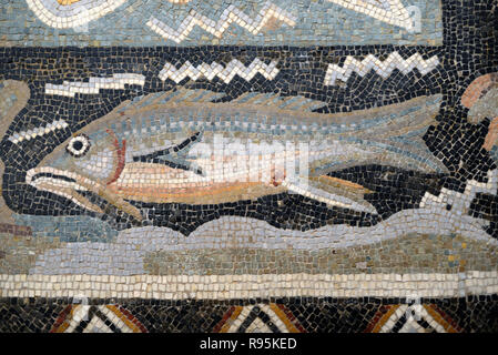 Detail der Römischen Fußbodenmosaik (c3 rd-c 4.) der Fische auf der mediterranen Meeresgrund aus der antiken römischen Stadt Ammaedara Haidra Tunesien Stockfoto