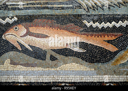 Detail der Römischen Fußbodenmosaik (c3 rd-c 4.) der Fische auf der mediterranen Meeresgrund aus der antiken römischen Stadt Ammaedara Haidra Tunesien Stockfoto