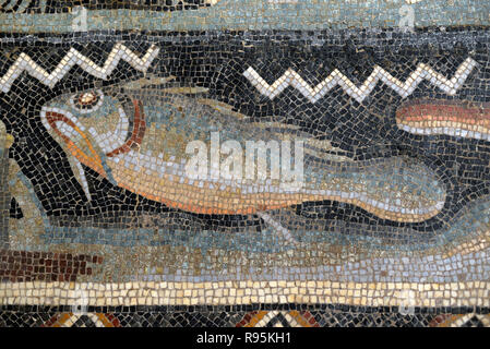 Detail der Römischen Fußbodenmosaik (c3 rd-c 4.) der Fische auf der mediterranen Meeresgrund aus der antiken römischen Stadt Ammaedara Haidra Tunesien Stockfoto