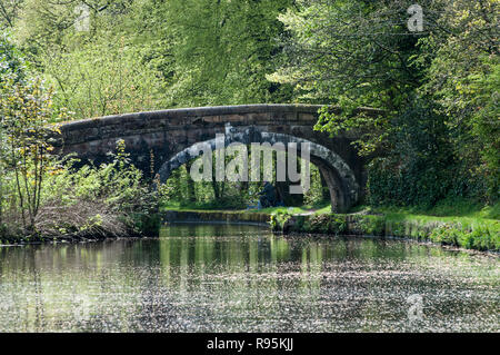 Rund um Großbritannien - Blick auf den Leeds Liverpool Canal an der Brücke 64, mit einem einzigen Fischer, der auf dem Weg an der Brücke vorbeisaß. Stockfoto