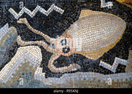 Römisches Fußbodenmosaik (c3 rd-c 4.) Der Tintenfisch & Mediterrane Meeresboden aus der antiken römischen Stadt Ammaedara Haidra Tunesien Stockfoto