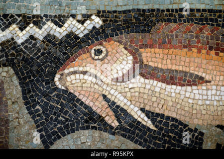 Detail der Römischen Fußbodenmosaik (c3 rd-c 4.) der Fische auf der mediterranen Meeresgrund aus der antiken römischen Stadt Ammaedara Haidra Tunesien Stockfoto