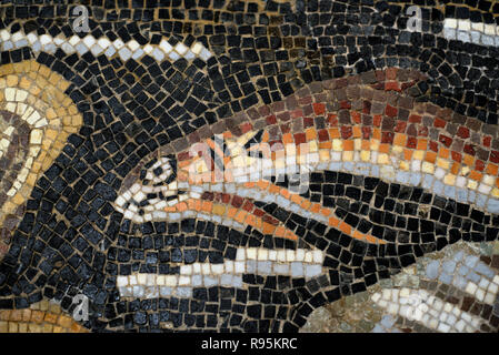 Detail der Römischen Fußbodenmosaik (c3 rd-c 4.) Der Aal Fisch auf mediterranen Meeresgrund aus der antiken römischen Stadt Ammaedara Haidra Tunesien Stockfoto