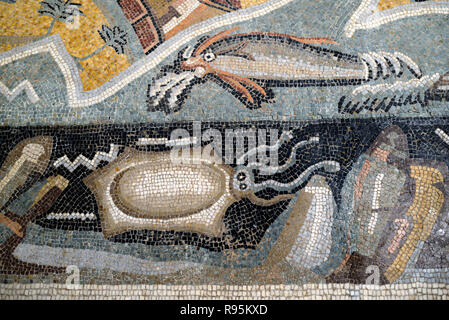 Römisches Fußbodenmosaik (c3 rd-c 4.) Der Tintenfisch & Mediterrane Meeresboden aus der antiken römischen Stadt Ammaedara Haidra Tunesien Stockfoto