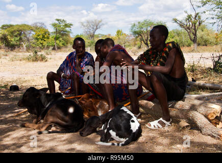 Eine Gruppe von Massai zogen in den Ruaha National Park östliche Grenze, in den 70er Jahren die Beschränkungen von Julius Nyere des Njaama zu entkommen Stockfoto