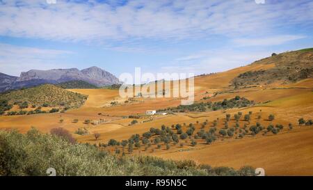 Bauernhaus und Ackerland in der Nähe von Villanueva de la Concepción, Provinz Malaga, Andalusien, Südspanien. Stockfoto