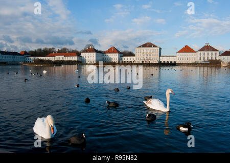 Schwäne am Schloss Nymphenburg am frühen Morgen gesehen, München, Deutschland. Stockfoto