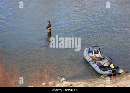 Fischer Casting für Steelhead Forellen im Salmon River in Idaho, USA Stockfoto