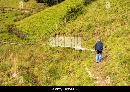 Junge einsame Spaziergänge entlang einer kleinen schmalen Fußweg mit einer blauen Jacke zwischen grünen Wiesen Stockfoto