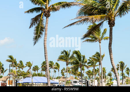 Bahia Honda Key, USA - Mai 1, 2018: Blick auf State Park in Florida key nach, im Gefolge des Hurrikans Irma, Palmen, für Reparatur geschlossen, constructi Stockfoto