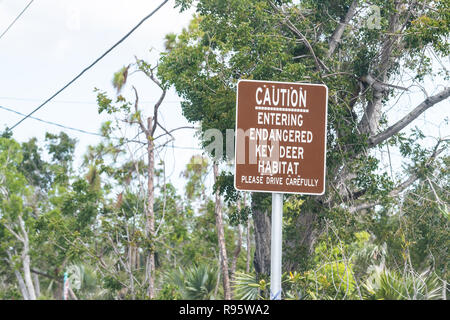 Farbe braun Warnschild in Big Pine Key auf nationaler Rotwild Lebensraum über Vorsicht, Eingabe von gefährdeten Arten, bitte vorsichtig fahren in Florida k Stockfoto