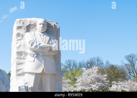 Martin Luther King, Jr. Memorial Statue, Skulptur am Frühling, Cherry Blossom Festival, sakura Blüten Bäume mit niemand, blauer Himmel Stockfoto