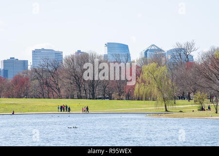 Washington DC, USA - April 5, 2018: Leute, Wandern auf der National Mall, Verfassung, Garten, Teich, Wasser, Kirschblüte, sakura Bäumen, Aussicht auf norther Stockfoto