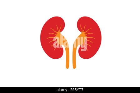 Niere Stock Vektor