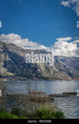 Traditionelle runde Netze auf Fischzucht in der Bucht von Kotor an der Adria, Montenegro Stockfoto