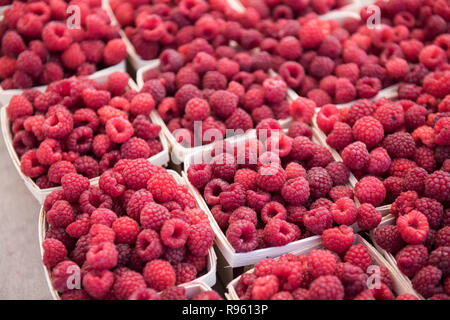 Frisches Obst und Gemüse auf dem Markt auf einer anstrengenden Morgen verkauft wird. Die große Menge an Gemüse und Obst frisch aussehen und mehrere Sorten von Stockfoto