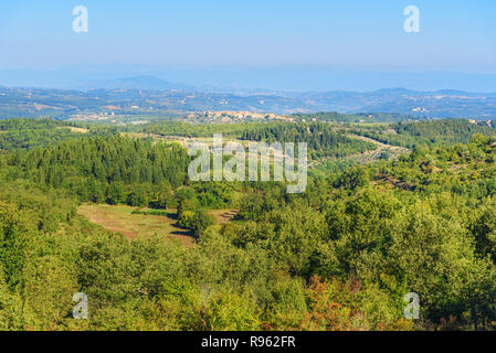 Blick auf Wald und Weinberg im Chianti Region. Toskana Landschaft. Italien Stockfoto