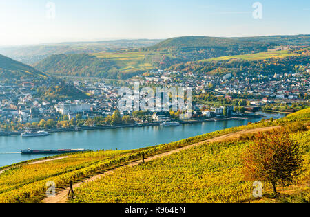 Blick auf Bingen am Rhein von Rüdesheim Weinbergen am Rhein, Deutschland Stockfoto